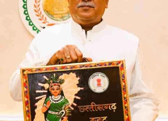 CG Budget 2023 Briefcase of Chhattisgarh budget painted with cow dung1