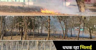 Fire in the greenery of Bhilai Township, dont know when the department will be active