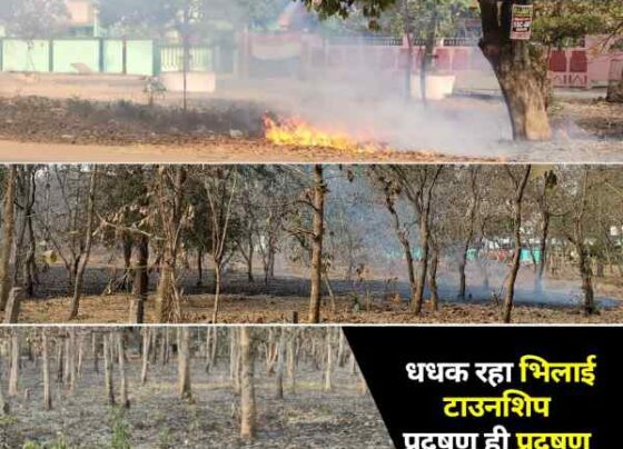 Fire in the greenery of Bhilai Township, dont know when the department will be active