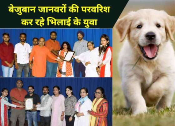 Chhattisgarh Animal Saviors Foundation Day A glimpse of saving the lives of 800 animals was seen in the first foundation day
