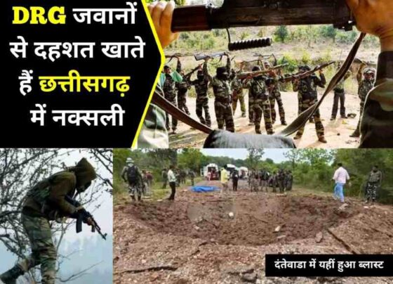 Chhattisgarh DRG is the center of Naxal affected area youth and those who leave Naxalites, Naxalites tremble