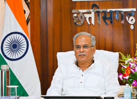 Government job in Chhattisgarh Online application for 366 posts from May 8, get complete details at vyapam.cgstate.gov.in