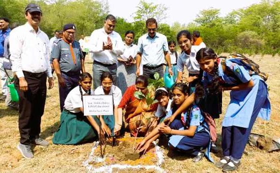 Tree Plantation at Town Services Department 1