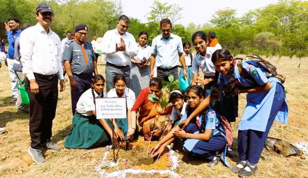 Tree Plantation at Town Services Department 1