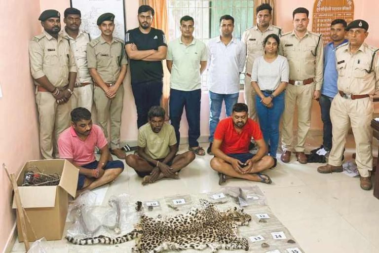 39-smugglers-from-Maharashtra-arrested-for-smuggling-tiger-by-electrocuting-it-in-Chhattisgarh
