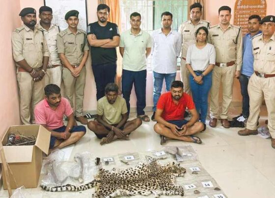 39 smugglers from Maharashtra arrested for smuggling tiger by electrocuting it in Chhattisgarh