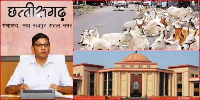CCTV-cameras-will-make-a-list-of-those-who-walk-animals-on-the-roads-of-Chhattisgarh_-will-be-fined