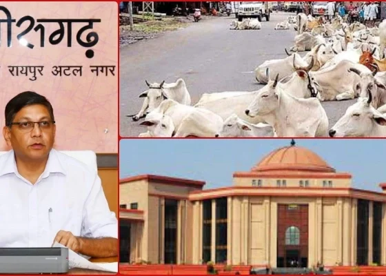 CCTV cameras will make a list of those who walk animals on the roads of Chhattisgarh, will be fined