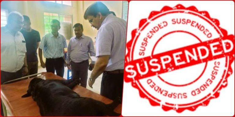 Divisional-Commissioner-Kavre-raided-Padmanabhpur-Veterinary-Hospital-1-worker-suspended-notice-given-to-8-doctor-employees