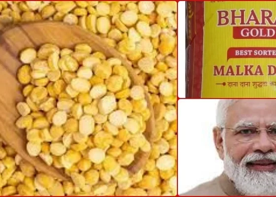 Bharat Dal Rs 60 per kg, 30 kg packet will be available at Rs 55 per kg