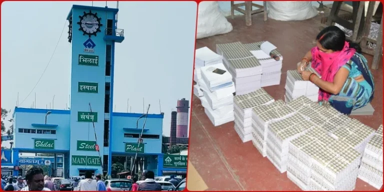 Bhilai-Mahila-Samaj-66th-foundation-day-of-Bhilai-Mahila-Samaj-on-August-4-you-also-come