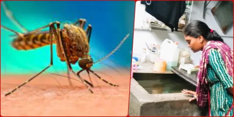 Bhilai-Township-Dengue-larvae-are-not-thriving-in-your-house-just-check