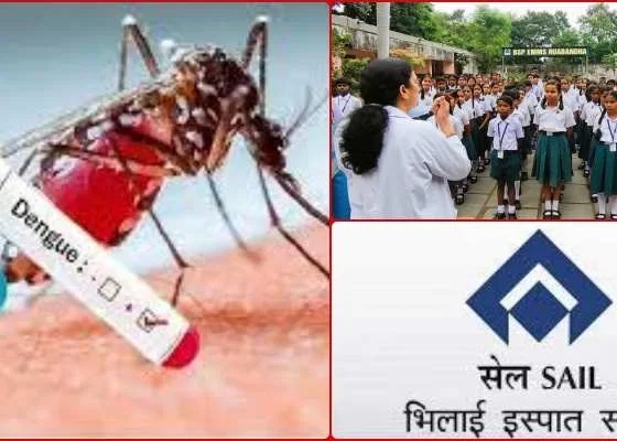 Dengue in Bhilai: Support BSP and district administration, otherwise you will reach the hospital
