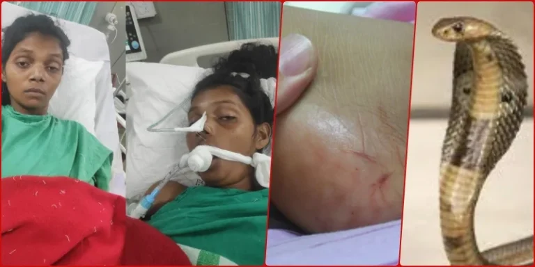 If-you-want-to-save-life-from-snakebite-then-come-to-Rourkela-ispat-general-hospital