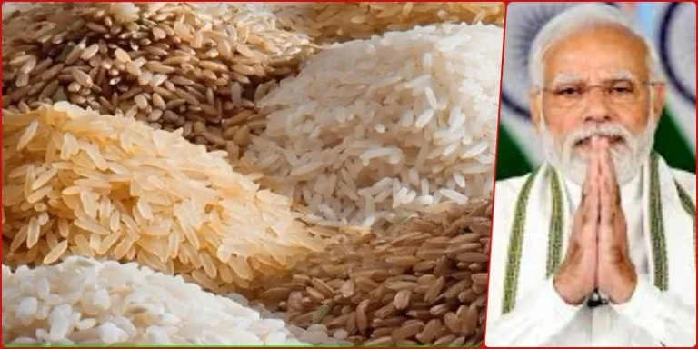 The-price-of-wheat-increased-by-6.77-and-that-of-rice-by-10.63-in-a-year-the-government-took-a-big-step