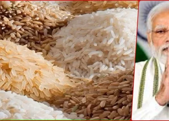 The price of wheat increased by 6.77% and that of rice by 10.63% in a year, the government took a big step