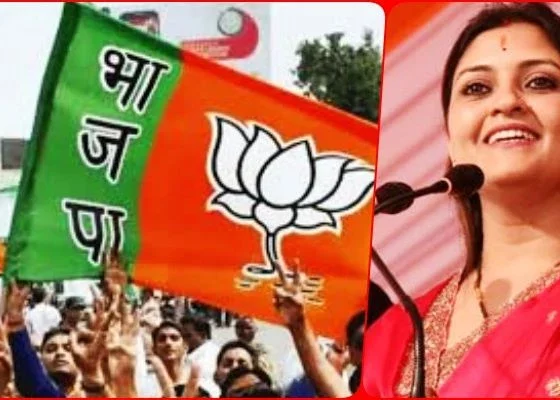 Only one name in BJP's third list, Bhavna Bohra became the candidate from Pandariya seat of Durg division