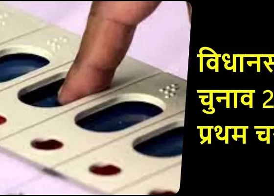 CG Assembly Election 2023 Maximum 29 candidates are in the fray in Rajnandgaon and only 8 candidates in 'Bastar', see details of 20 seats