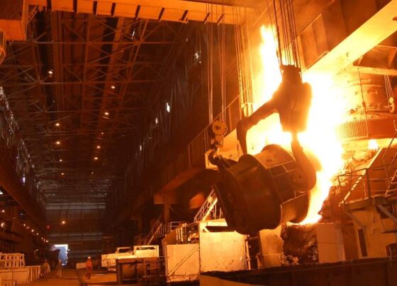 Bhilai Steel Plant created records from production to dispatch, increased value in SAIL