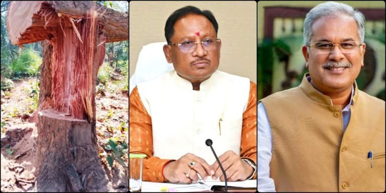Big-Breaking-Congress-will-investigate-the-cutting-of-Hasdev-trees