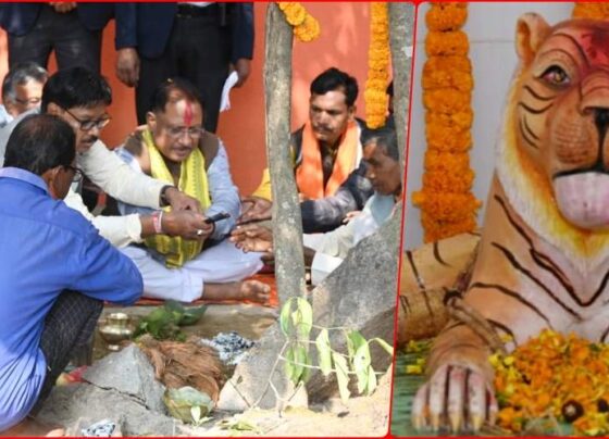 CM's ancestor lost his life in tiger attack, Vishnu worshiped tiger form god, read story