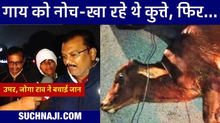 Dogs-were-tearing-at-a-live-cow-in-the-middle-of-the-road-no-one-stopped-Mohammad-Umar-saved-his-life-Joga-Rao-became-Bhai-Jaan