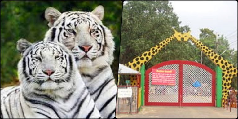 Effect-of-Corona-on-New-Year-Only-online-tickets-will-be-available-in-Maitribagh-on-January-1