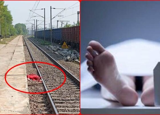 Woman was coming from Rajhara to Bhilai for treatment, died after falling from train