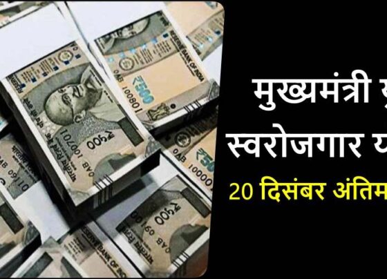 mukhyamantri yuva svarojagaar yojana: If you want to take a loan up to Rs 25 lakh then apply by 20th December