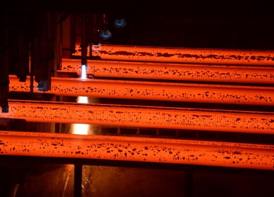 Modex unit of Bhilai Steel Plant broke all records