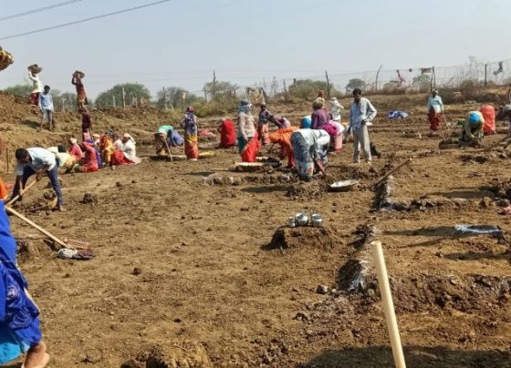 Increase in the number of workers, 50 thousand 657 workers are getting work in NREGA every day
