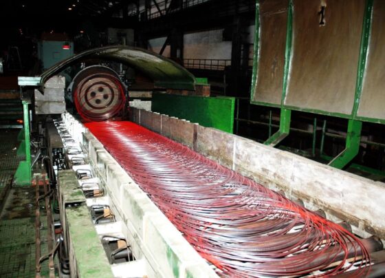 Wire Rod Mill of Bhilai Steel Plant created a new record of production