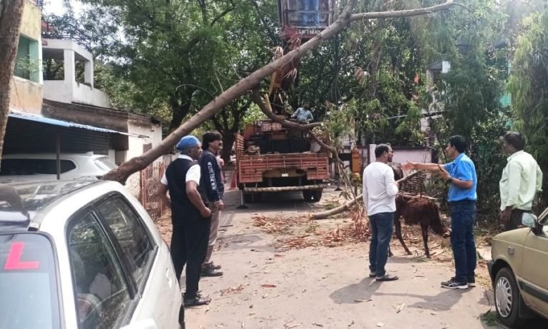 CG-Weather-Production-stopped-at-Bhilai-Steel-Plant-due-to-strong-wind-and-rain-tree-fell-in-the-township