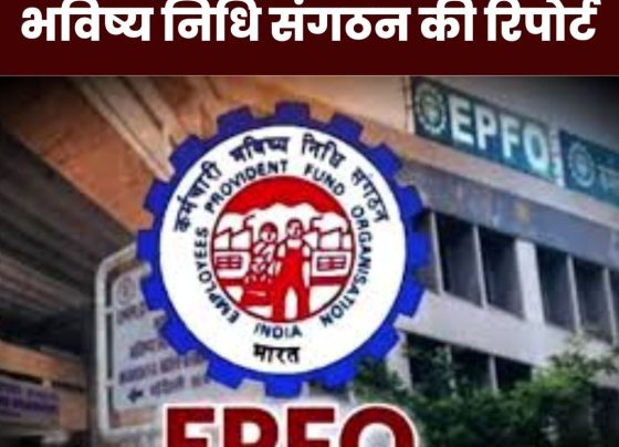 EPFO BIG NEWS: Shocking report of Employees Provident Fund Organization, read details