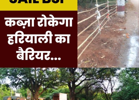 SAIL BSP's big campaign against encroachers, barrier of greenery will stop encroachment