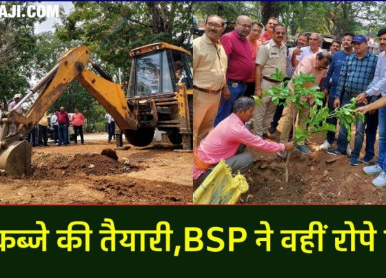 Attempt to encroach on Central Avenue Chowk in the name of religious place, BSP planted saplings