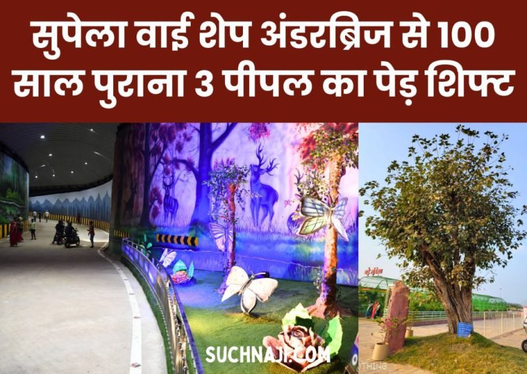 100-year-old-peepal-trees-shifted-from-Supela-Y-shape-underbridge-