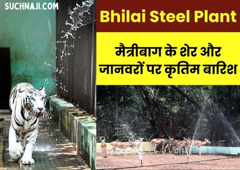 Bhilai-Steel-Plant-Arrangements-to-protect-the-lions-and-animals-of-Maitribagh-from-heat-wave