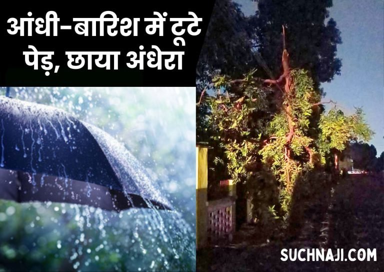 Trees-broken-due-to-storm-and-rain-electricity-supply-disrupted-darkness-prevails-in-Bhilai-Township-night-will-be-painful-in-Sector-4