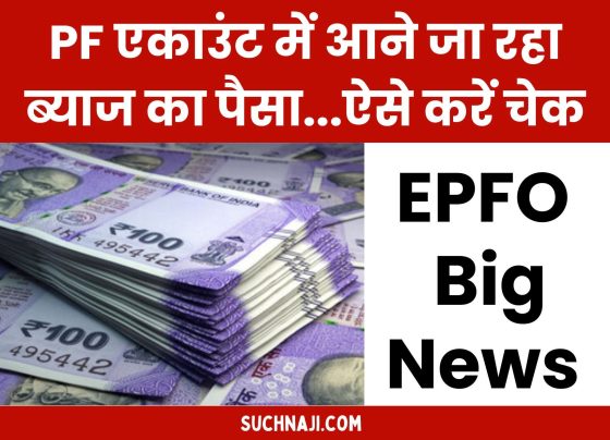 Employees Provident Fund Organisation: Interest money is going to come into PF account, check this way