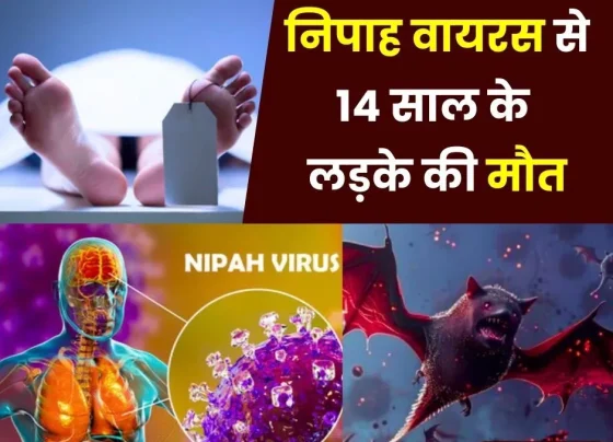 Infection-after-eating-fruit-contaminated-by-bats_-14-year-old-boy-dies-of-Nipah-virus-in-Kerala