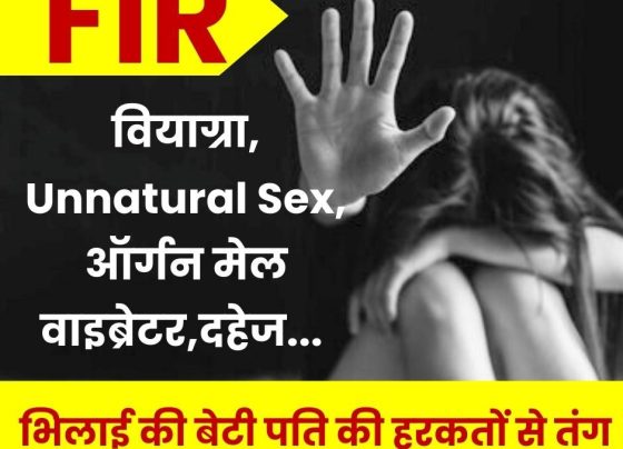 Viagra, Safed Musli Churan, Unnatural Sex, Organ Male Vibrator, Dowry assault, FIR, read Bhilai's daughter's complaint