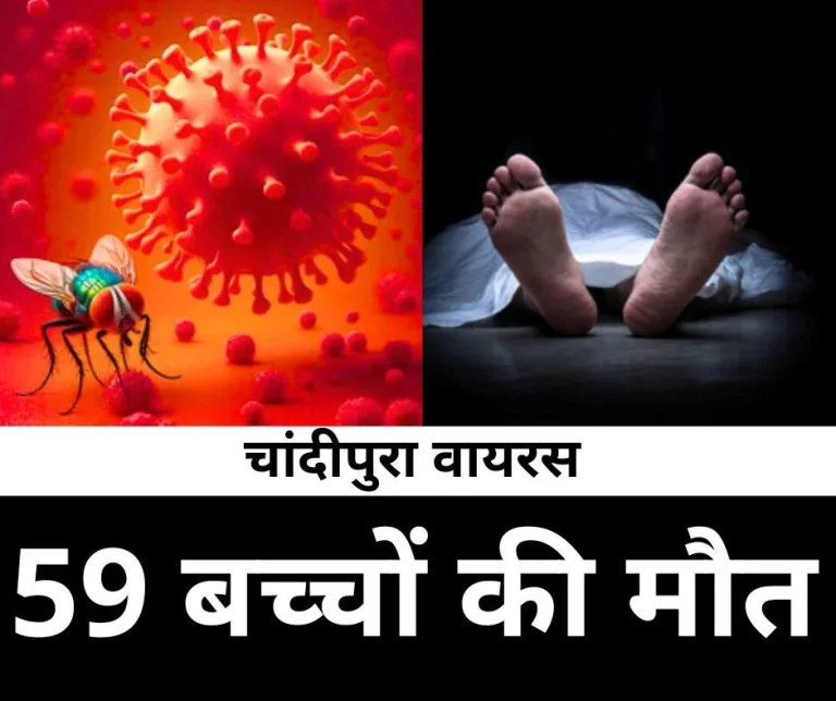59-children-died-Chandipura-virus-after-Gujarat-reached-Maharashtra-Madhya-Pradesh-Rajasthan-save-children