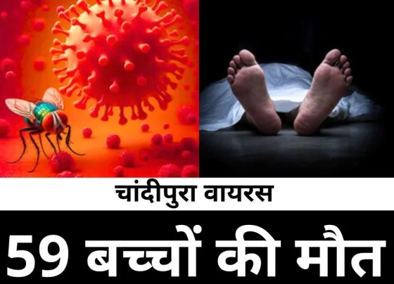 59 children died, Chandipura virus after Gujarat reached Maharashtra, Madhya Pradesh, Rajasthan, save children