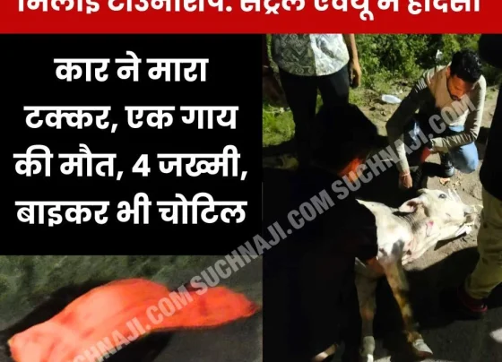 Accident in Bhilai Township: Car collides, one cow dies, 4 injured, bike rider also injured