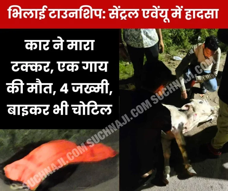 Accident-in-Bhilai-Township-Car-collides-one-cow-dies-4-injured-bike-rider-also-injured