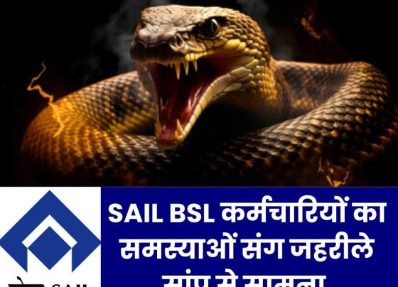 Bokaro Steel Plant employees face these problems along with poisonous snakes