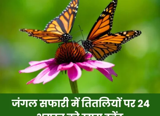 Special event walk and talk on butterflies in Jungle Safari on 24th August