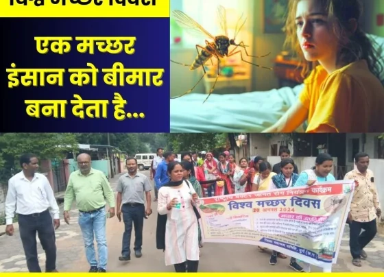 World Mosquito Day 2024: One mosquito makes a human sick, rally in Bhilai Township