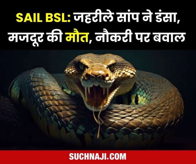Bokaro-Steel-Plant-Poisonous-snake-bites-worker-dies-uproar-on-job